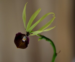 Fot. Małgorzata Kozak