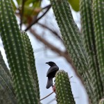 Fot. Małgorzata Kozak