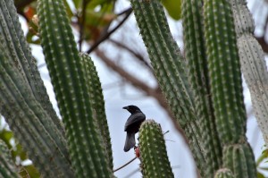 Fot. Małgorzata Kozak