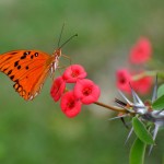 Fot. Małgorzata Kozak