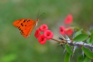 Fot. Małgorzata Kozak