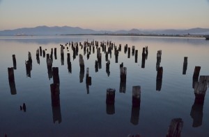 Fot. Małgorzata Kozak