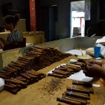 Fot. Małgorzata Kozak