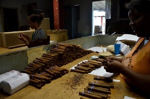 Fot. Małgorzata Kozak