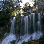 Fot. Małgorzata Kozak