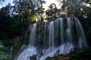 Fot. Małgorzata Kozak