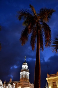 Fot. Małgorzata Kozak