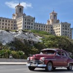 Fot. Małgorzata Kozak