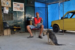 Fot. Małgorzata Kozak