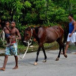 Fot. Małgorzata Kozak