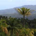 Fot. Katarzyna Kalinowska