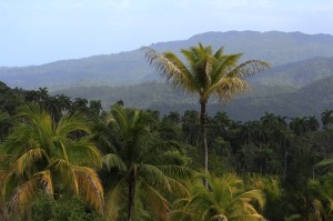 Fot. Katarzyna Kalinowska