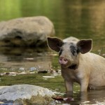 Fot. Katarzyna Kalinowska