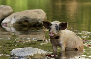 Fot. Katarzyna Kalinowska