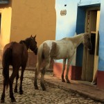 Fot. Katarzyna Kalinowska