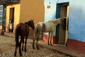 Fot. Katarzyna Kalinowska