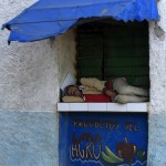 Fot. Katarzyna Kalinowska