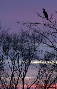 Fot. Beata Dziwulska