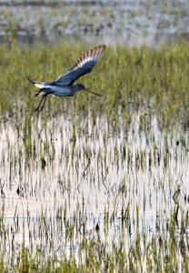 Fot. Małgosia Kozak