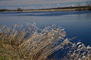 Fot. Małgosia Kozak