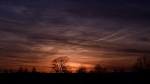 Fot. Małgosia Kozak