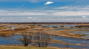 Fot. Janusz Krajczok