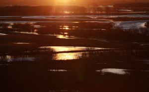 Fot. Janusz Krajczok