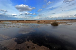 Fot. Justyna Ostrowska