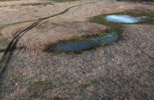 Fot. Justyna Ostrowska