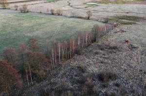 Fot. Justyna Ostrowska