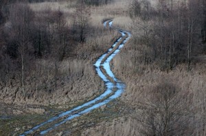 Fot. Justyna Ostrowska