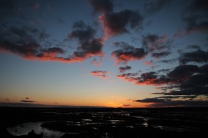 Fot. Justyna Ostrowska