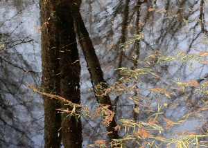 Fot. Kasia Kalinowska