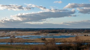 Fot. Krzysztof Ogłuszka