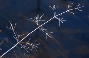 Fot. Magda Kaczmarzyk