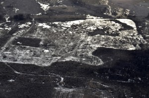 Fot. Małgosia Marczuk