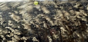 Fot. Małgosia Marczuk