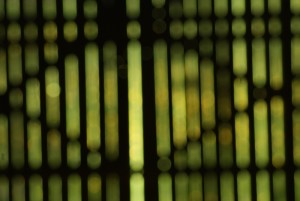 Fot. Magda Szutarska