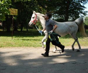 Fot. Agnieszka Chodakowska