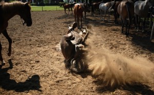 Fot. Agnieszka Chodakowska