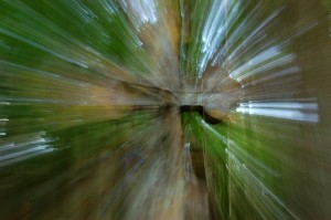 Fot. Agnieszka Chodakowska