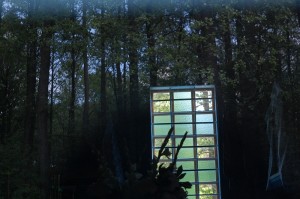 Fot. Agnieszka Chodakowska