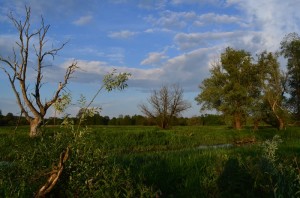 Fot. Agnieszka Modrzejewska