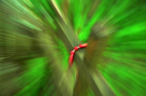 Fot. Agnieszka Modrzejewska