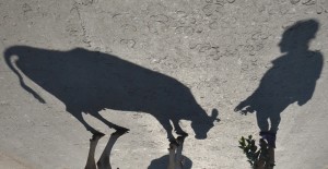 Fot. Jolanta Golinowska