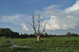 Fot. Jolanta Golinowska