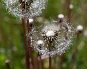 Fot. Justyna Ostrowska