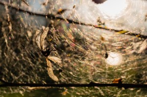 Fot. Justyna Ostrowska