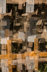 Fot. Justyna Ostrowska