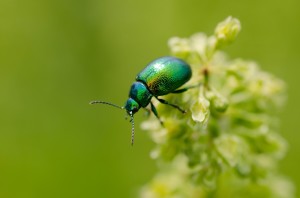Fot. Karolina Bekker